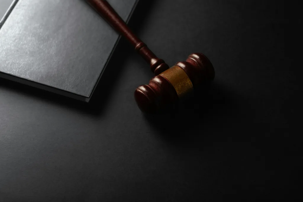 Préparer son audience au tribunal correctionnel avec un avocat à Nice